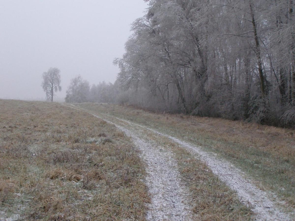 Загородные дома Mednieki Kalvene Krusāti-35