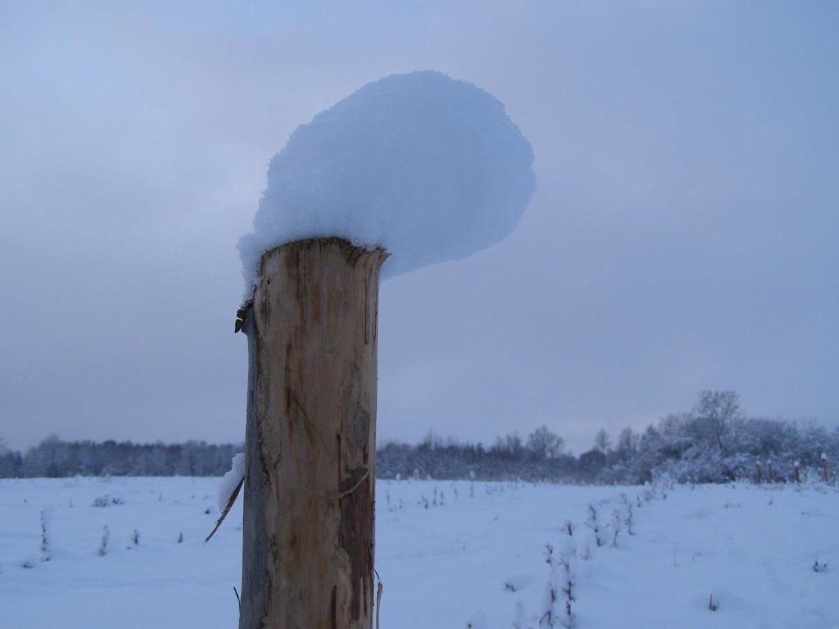 Загородные дома Mednieki Kalvene Krusāti-36